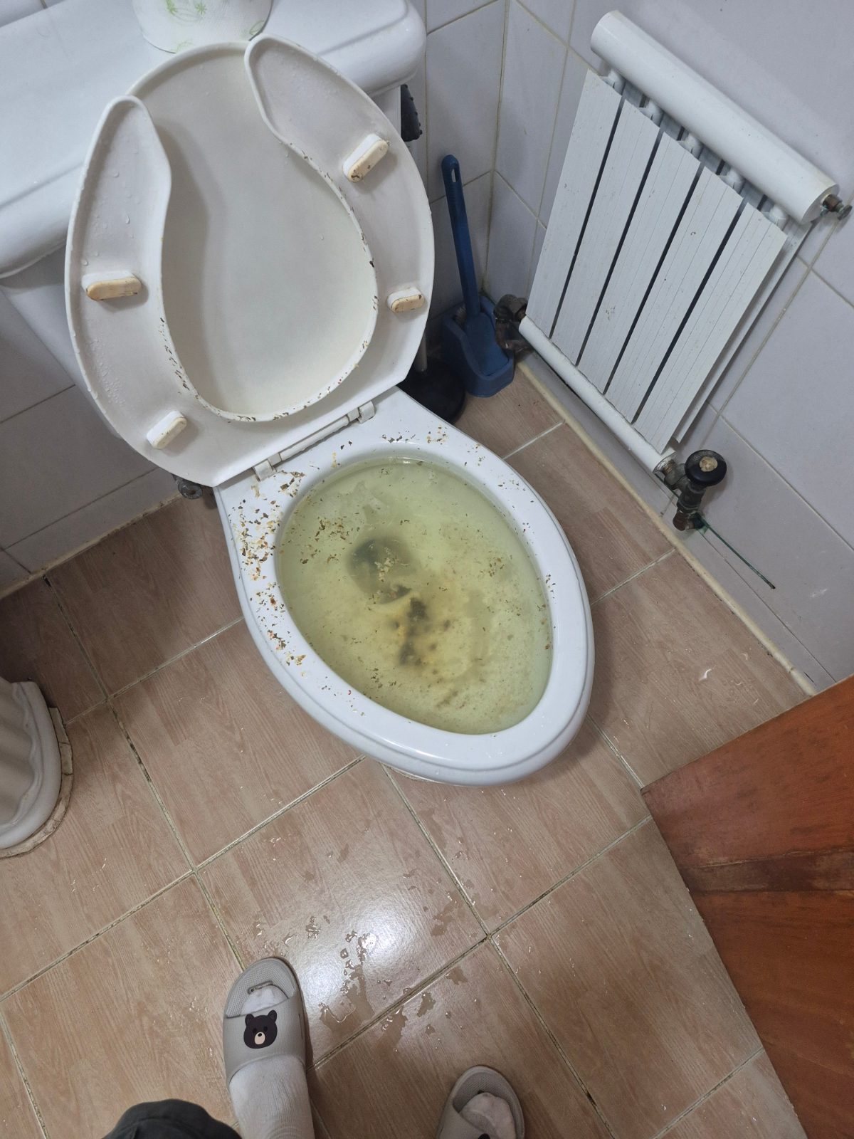 성북구 돈암동 변기막힘 현장 사진 1