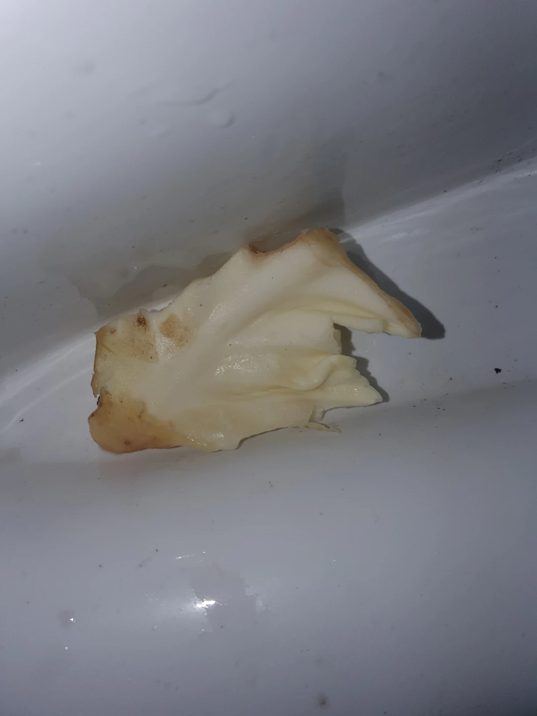 강북구 번동 변기막힘 현장 사진 3