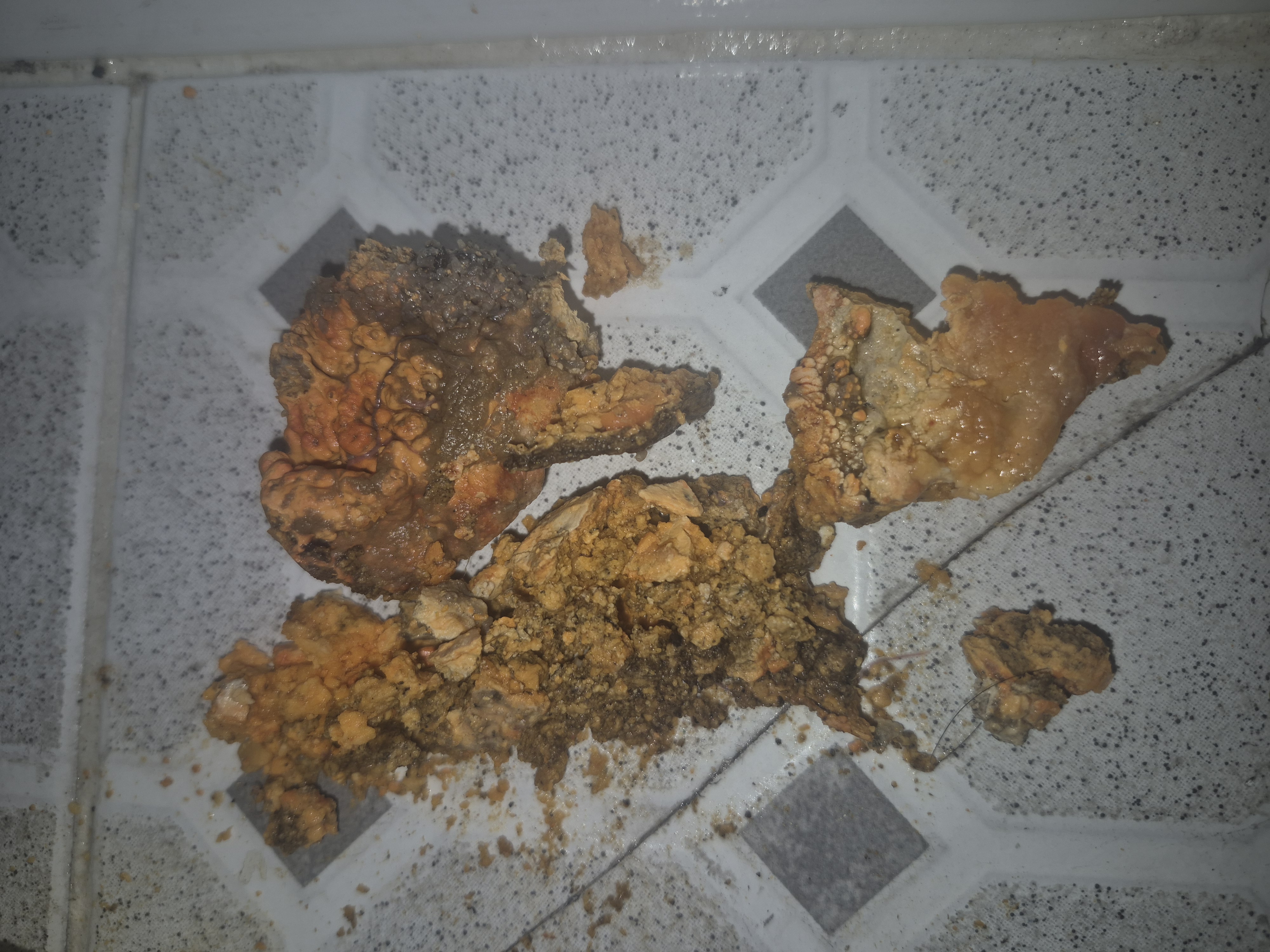 동대문구 제기동 식당 주방 하수구막힘 현장 사진 3
